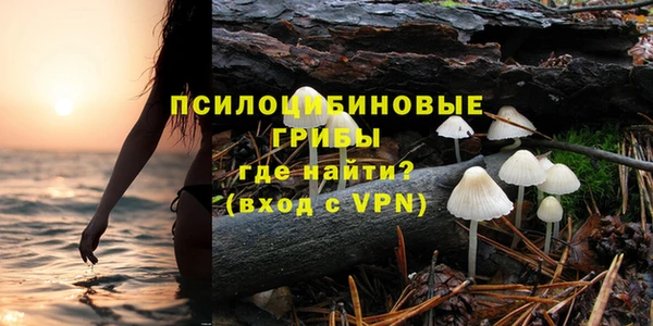 дживик Нягань
