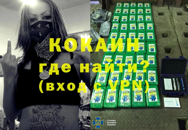 первитин Няндома