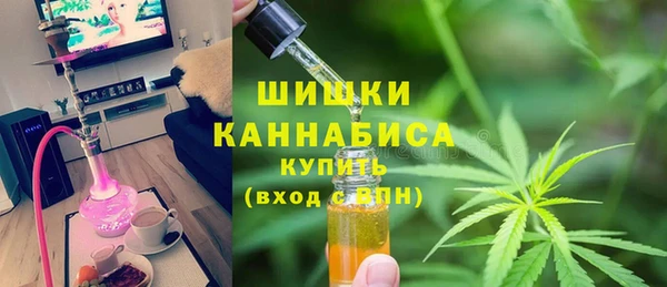 первитин Няндома