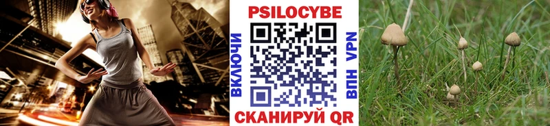 Галлюциногенные грибы Cubensis Ветлуга